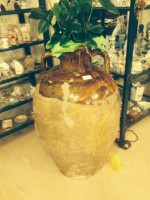 /album/galleria-foto-galleria/foto-2-2-jpg1/